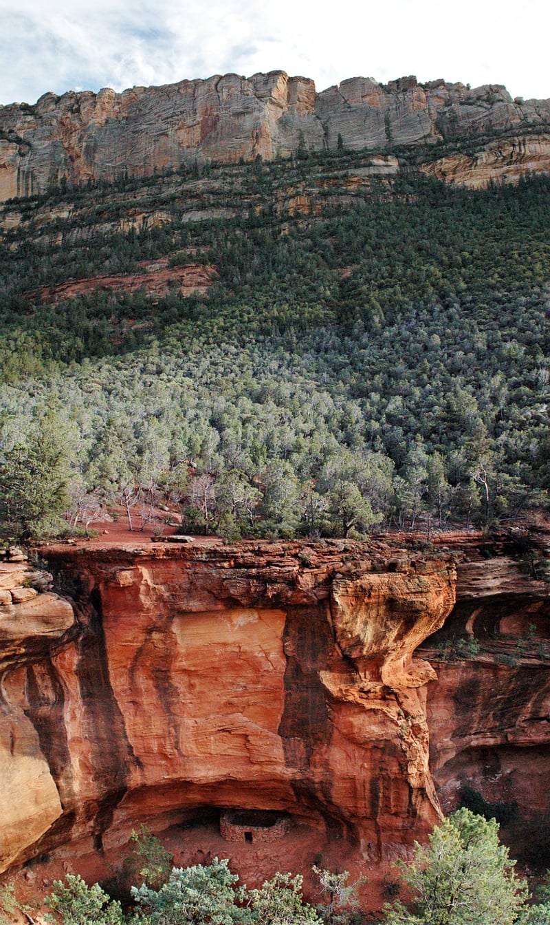 Sous Vide Precision Cooker